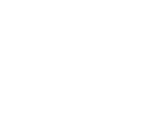 Betson Technical University Logo in White